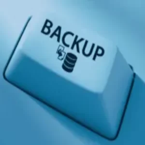 Servicio de Copias de Seguridad de Datos